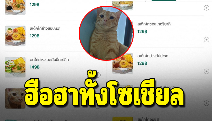 เจ้าของร้านสเต็กแจ้ง หลังเอารูปแมวขึ้นในเมนูไก่อบชีสจนเป็นฮือฮา