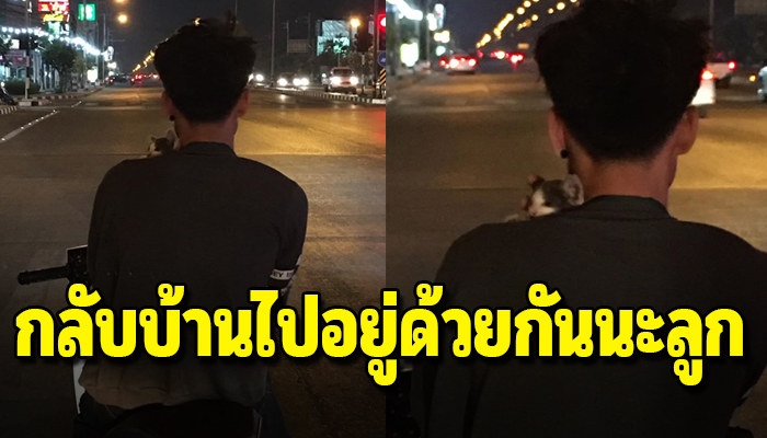 เห็นแล้วอบอุ่นหัวใจ หนุ่มทาสแมวอุ้มแมวจรตัวน้อยไว้บนบ่าเพื่อเอากลับไปเลี้ยง