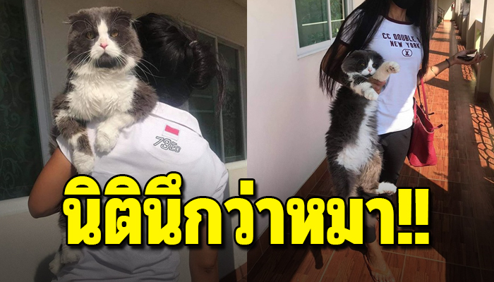 เขาหาว่าหนูเป็นหมา หลังนิติเปิดกล้องเช็คว่าสาวห้องนี้แอบเลี้ยงหมาทั้งๆที่เป็นแมว