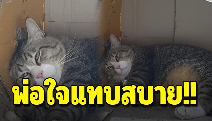พ่อใจแทบสลาย หลังกลับจากทำธุระพบน้องสามชั้นนอนแน่นิ่งตาค้างไม่ขยับ
