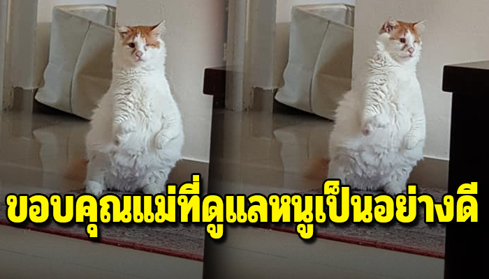 เกิดมามีกรรมใช้ชีวิตยากลำบาก ขาหน้าก็งอไม่เหมือนใคร แถมยังมาตาบอดอีก