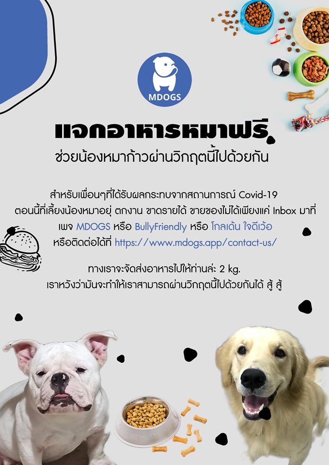 🎁MDOGS แจกอาหารหมาฟรี🎁