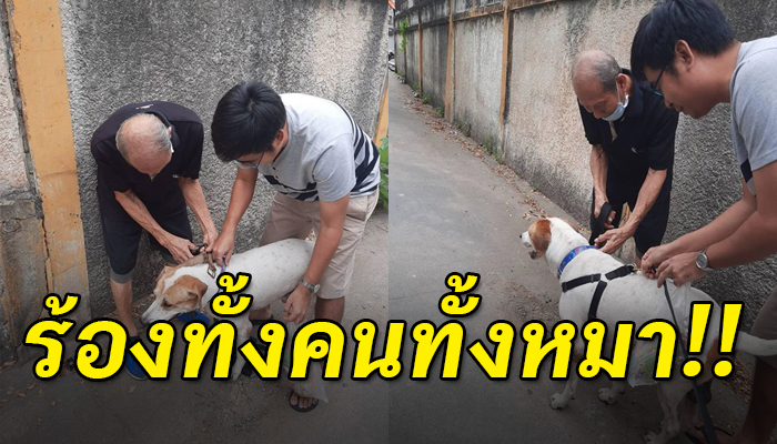 คุณตาตามหาหมาหายกว่า17วัน ร้องทั้งคนทั้งหมาโผเข้ากอดดีใจ