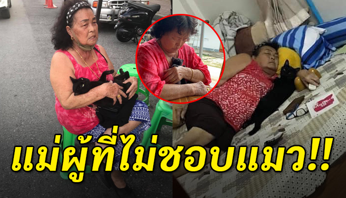 จากคนที่เคยบอกว่าไม่ให้เลี้ยง ตอนนี้นั่งแกะก้างปลาจนเหลือแต่เนื้อเพื่อให้แมวกิน