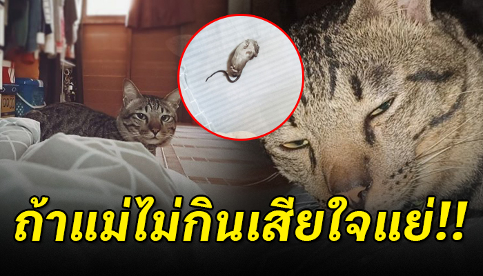 ไม่เคยคิดว่าจะเจอกับตัวเอง หลังได้รับของขวัญชิ้นใหญ่มาวางซบไว้ที่กลางหลังตอนตืน