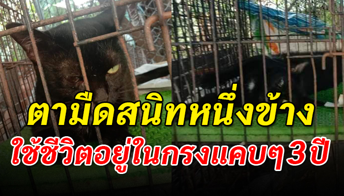 ตามืดสนิทหนึ่งข้าง ใช้ชีวิตอยู่ในกรงแคบๆมานานร่วม 3 ปี
