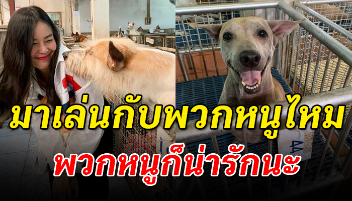 มาเล่นด้วยน้องก็มีความสุขแล้ว กับเหล่าหมาด้อยโอกาสกับความฝันที่ยากจะเป็นจริง