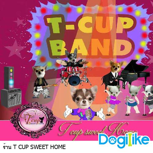 ฟังเพลงนี้!!!ชิวาวาทีคัพ (By TcupSweetHome)