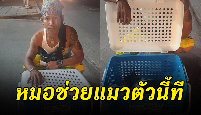 หนุ่มต่างด้าวจับแมวใส่กระสอบ อ้อนวอนขอให้หมอช่วยรักษาหลังพบน้องถูกรถชนต่อหน้า