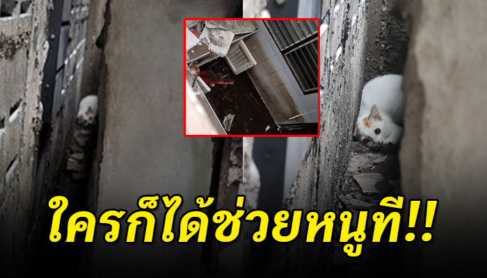 ติดอยู่ในบ้านไร้คนอยู่มา 3 วัน ไม่มีแม้น้ำหรืออาหารจะตกถึงท้อง