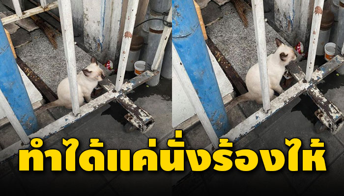 ถูกเขาเอาน้ำฉีดไล่ไสส่ง ด้วยเป็นจรไร้ที่อยู่อาศัย