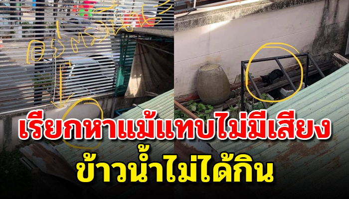 ส่งเสียงร้องเรียกหาแม่ใจแทบขาด หลังถูกพรากดวงใจไปจากอก ไม่มีอะไรตกถึงท้องเลย