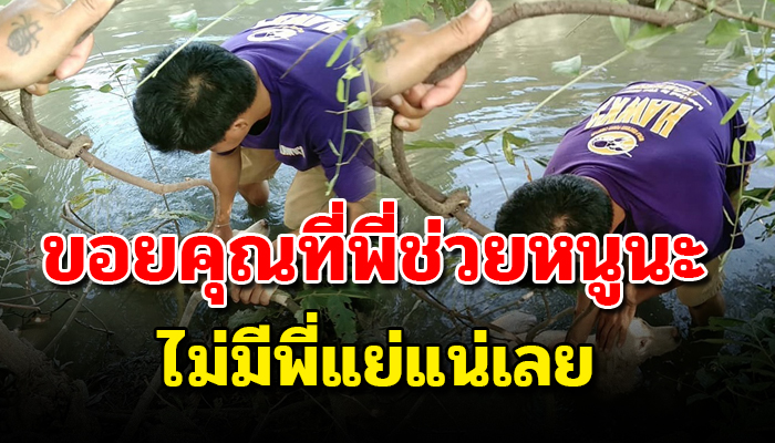 ยืนนิ่งๆอยู่ในน้ำไม่ยอมขยับไปไหน ด้วยขาที่ไร้เรี่ยวแรง ไม่รู้ต้องทนนานเท่าไหร่
