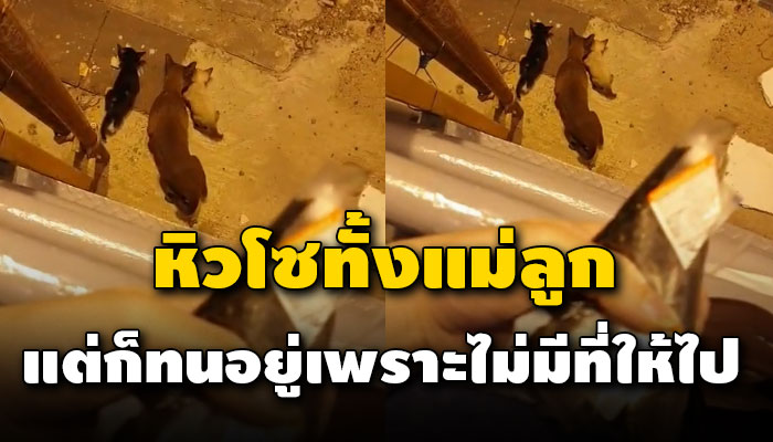 แอบอาศัยอยู่ที่ใต้บันไดทางเข้า MRT หิวโซทั้งแม่ลูกแต่ก็ทนอยู่เพราะไม่มีที่ให้ไป