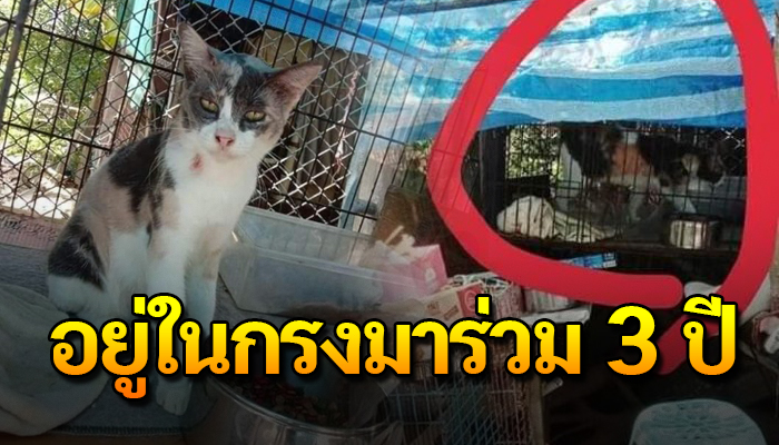 ถูกเขาเอาไว้ในกรงมาร่วม 3 ปี ไม่เคยได้มีชีวิตแม้เดินออกไปเหยียบพื้นดิน