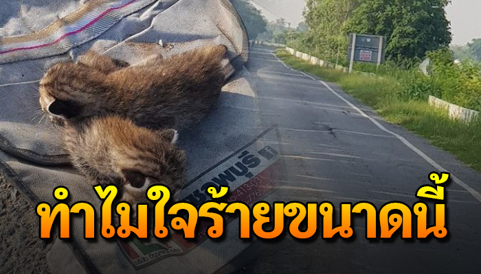 เพิ่งจะออกจากท้องแม่ได้ 3 วัน สุดท้ายโดยเอามาทิ้งข้างทาง