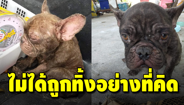 เผยที่มาของ น้องลูกเสือหลังเจอดราม่าถูกทิ้ง ที่จริงแล้วไม่ใช้อย่างที่คิดไว้