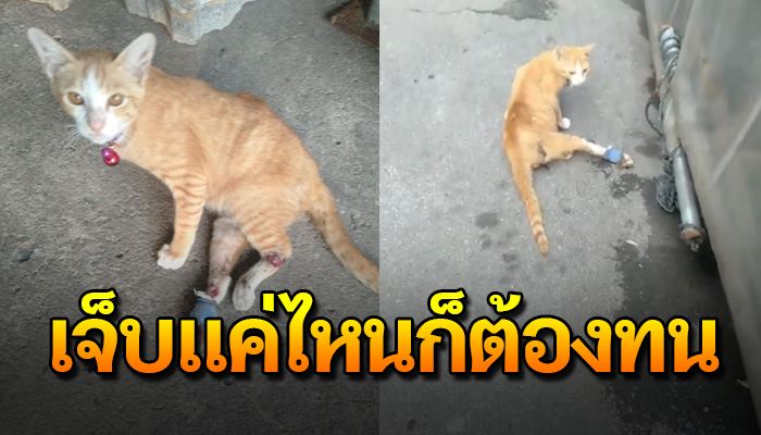 เจ็บแค่ไหนก็ต้องทน ต้องเดินลากขาไปกับพื้นแข็งๆ ทนอยู่กับชีวิตที่เลือกไม่ได้