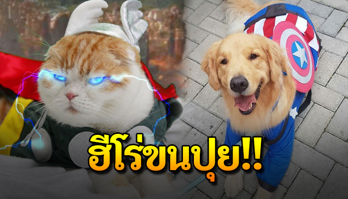เปิด 15 ภาพเหล่าอเวนเจอร์สฉบับขนปุย น่ารักมากกก