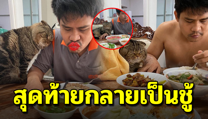 จากเคยรักเฝ้าดูแลเลี้ยงดูจนใหญ่ วันนี้ใยส่งสายตาไม่แม้ถนอมน้ำใจเลยสักนิดเดียว