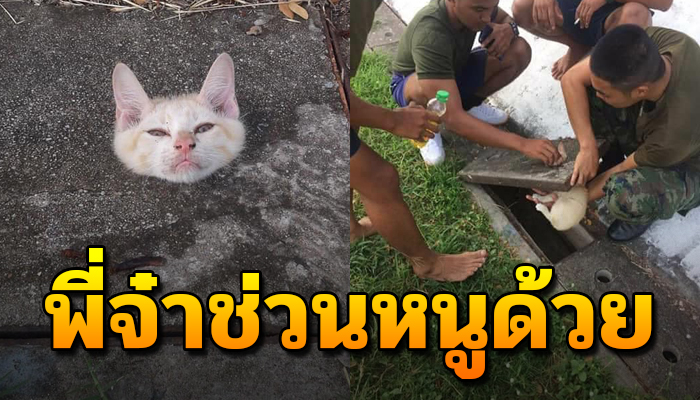 ทนทุกข์หัวติดท่อ ด้วยตัวงอเห็นเขาทำเลยทำมั่ง จนวุ่นวายกันทั้งกองร้อย