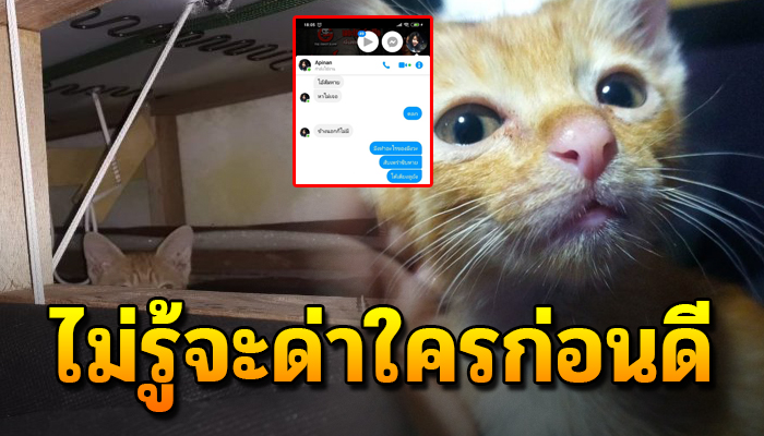 หัวใจทาสแหลกสลาย เมื่อแฟนทักมาบอกว่าก้อนส้มหายเรียกแล้วหาไม่เจอ