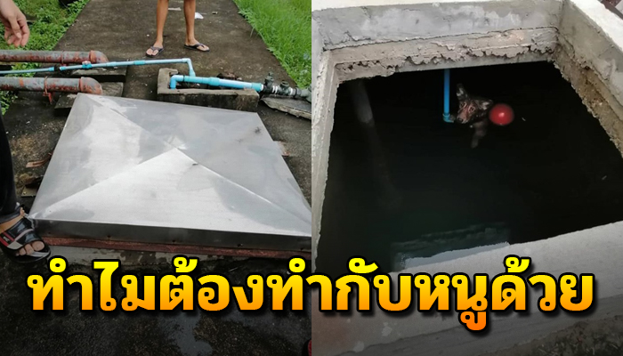 ว่ายน้ำอยู่ในบ่อที่ปิดสนิด ร้องขอความช่วยเหลือ หลังถูกเอามาทิ้งกะให้สิ้นใจคาบ่อ