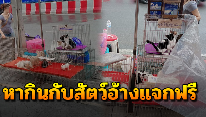 จวนยับทำเหมือนใจบุญแต่ที่แท้ก็หวังทำมาเป็นสิบปีก็ยังอยู่ที่เดิมไม่มีใครคิดจัดการ