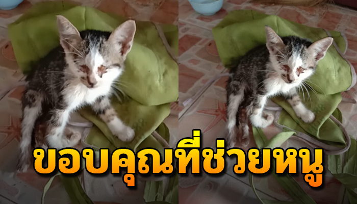 พยายามคลานขึ้นมาจากหลุมโคลนหนาวสั่นท่ามกลางสายฝนซ้ำขาก็เดินไม่ได้ ตามืดมิด