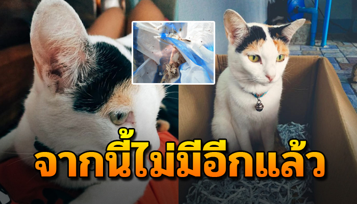 เฝ้าเลี้ยงดูด้วยรักคอยถนอม วันนี้หลั่งน้ำตาเมื่อเขาบอกว่าไม่ได้มีเจตนาจะทำ