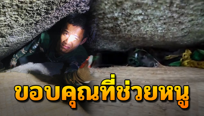 ความซนเป็นเหตุสังเกตได้ เจ้าตูบติดอยู่ในซอกหินลึก 2 เมตร 2 วัน