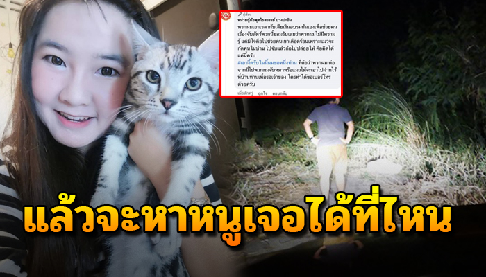 กลายเป็นดราม่า หลังแมวพันธุ์ถูกคนเขานำไปเทไว้ในป่าเพราะกลัวว่าน้องจะดุ