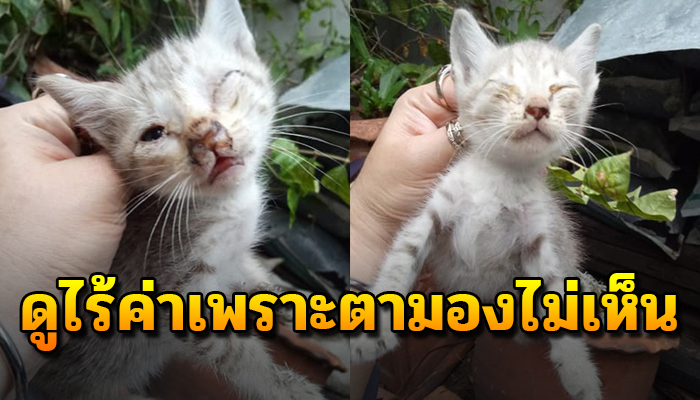 ชีวิตที่ไร้คนต้องการตาที่มองไม่เห็น ถูกเอามาทิ้งไว้วัด เพราะเป็นภาระ