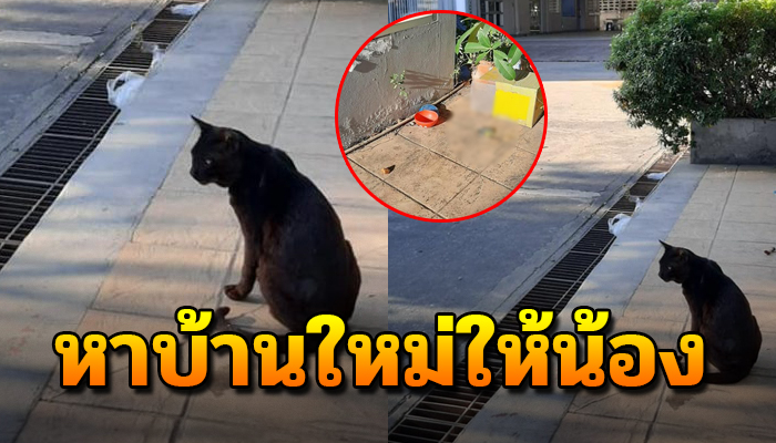 มีเพียงความทรงจำ เมื่อร้านปิดตัวลง ต้องนั่งเศร้ามีเพียงชามข้าวว่างเปล่า
