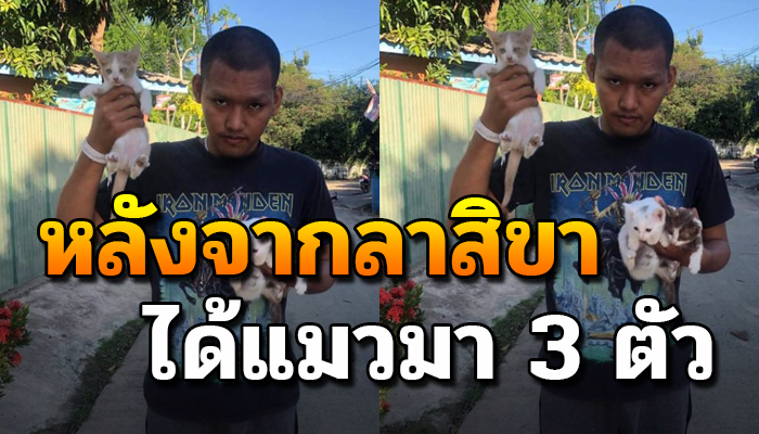 สาวถึงกับกุมขมับ เมื่อแฟนไปบวชมา 8 วันไม่ได้แค่บุญแต่ได้ลูกแมว 3 ตัวกลับมาด้วย