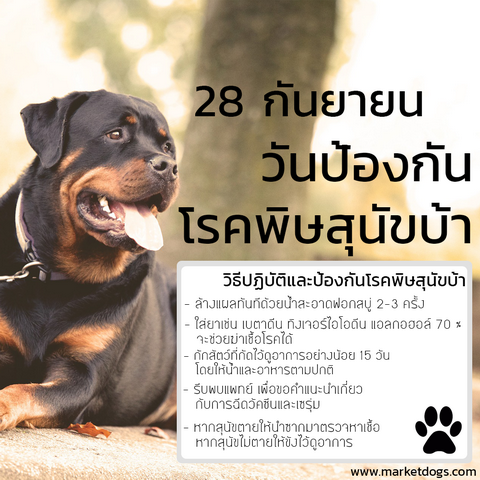 วันที่ 28 กันยายน วันป้องกันโรคพิษสุนัขบ้า