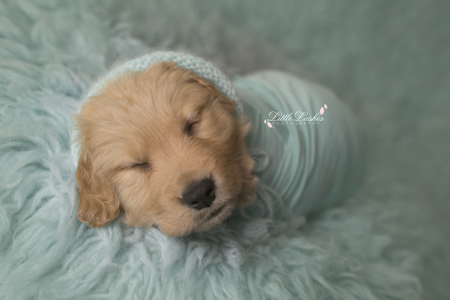 เมื่อลูกชายอยากมีน้องแม่คนนี้จึงต้องหาน้องมาให้ลูกชาย