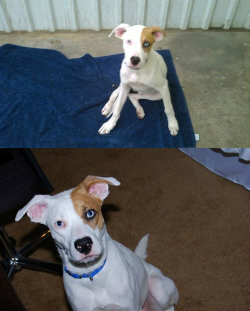 11 ภาพ  Before - After ที่เห็นแล้วจะทำให้ทุกคนยิ้มออก