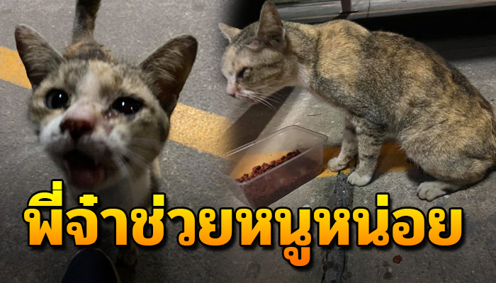เดินร้องขอให้ช่วยเหลือ เจ็บไปทั้งตัวตาแทบจะมองไม่เห็น ขอแค่คนมาช่วย