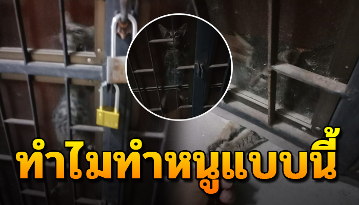 ร้องให้คนช่วยเสียงแทบไม่มี ตัวถูกขังไว้อยู่ในห้องเก่าเจ้าขอค้างค่าเช่า 3 เดือน