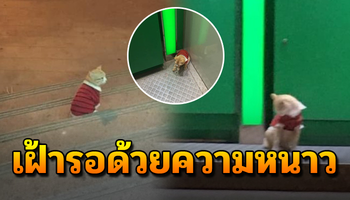 ทามกลางปีใหม่เมื่อหลายคนกลับบ้าน ยังมีหนึ่งชีวิตยังเฝ้าคอยด้วยความหนาว