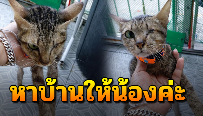 เกิดเป็นจรมีตาเพียงหนึ่งข้าง ใช้ชีวิตลำพัง ไม่มีใครสนใจใยดี