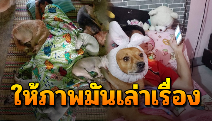 ให้ภาพมันเล่าเรื่อง เผยภาพแห่งความสุข ของน้องหมาที่อยู่กับเจ้านาย