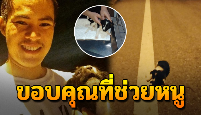หนุ่มออกไปวิ่งแล้วเจอลูกหมาน้อยริมถนน ตัดสินใจอุ้มเค้ากลับบ้านเพื่อช่วยชีวิตไว้