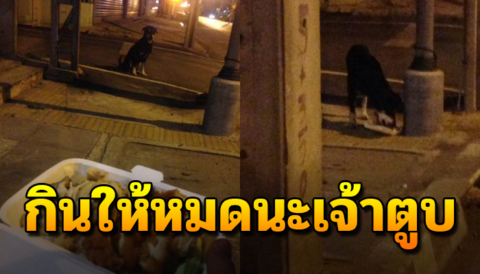 หนุุ่มซื้อข้าวมันไก่มา จะกินหลังเลิกงาน แต่เจอเจ้าตูบสภาพผอม เลยยกให้มันกิน