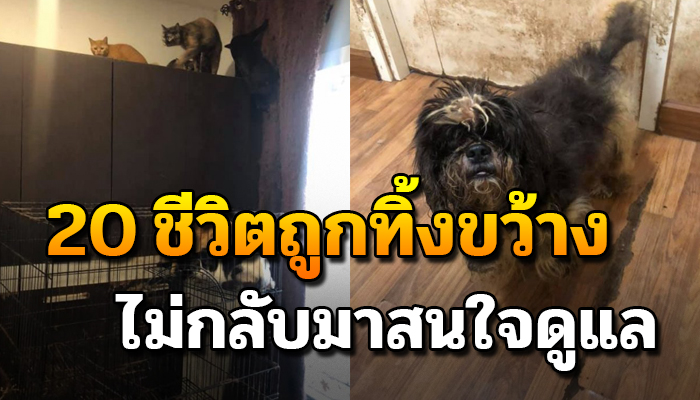 ถูกทิ้งไว้ในบ้านกว่า 20 ชีวิตไม่เคยแม้คิดจะกลับมาดูแล อยู่รวมกันพร้อมด้วยความหิว