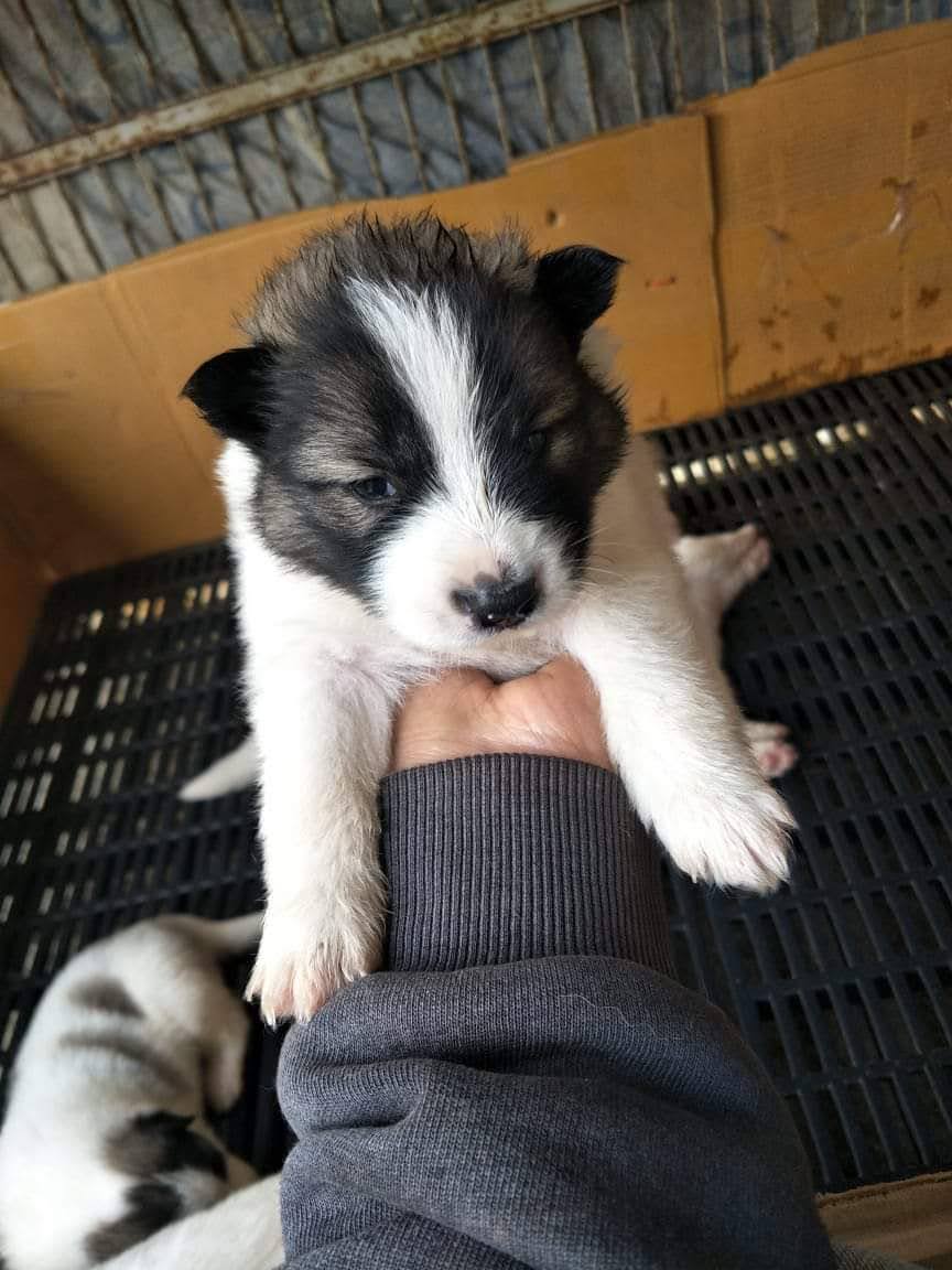 ลูกบางแก้ว น่ารัก
