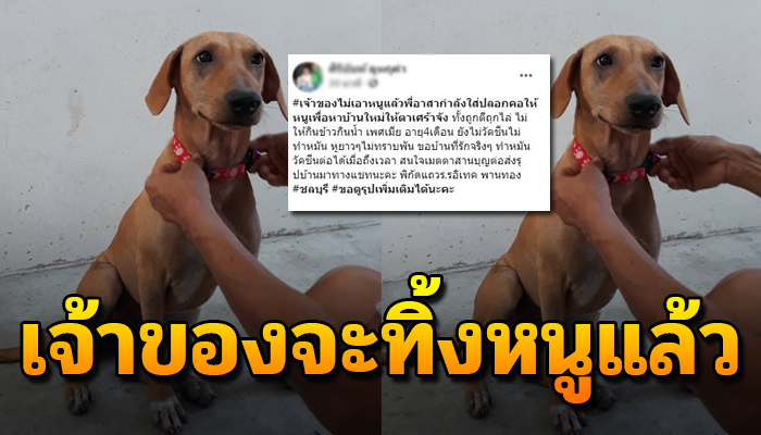เจ้าตูบทำหน้าเศร้า หลังเจ้าของกำลังจะทิ้ง ตลอดชีวิตทั้งถูกตีถุกไล่​ไม่ให้กินข้าว