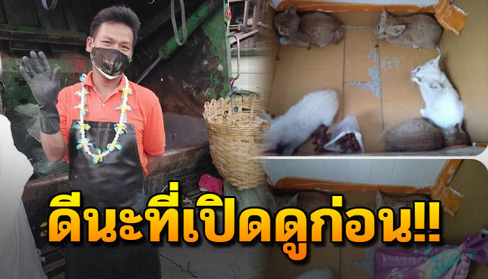 เห็นกล่องลังทิ้งไว้ข้างถนน เปิดดูมี 5 ชีวิตน้อยๆ ที่ถูกทิ้งไว้ ใครช่างใจร้าย