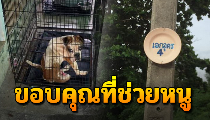 ถูกขังเอาไว้ให้อยู่แต่ในกรง ไม่มีน้ำสักหยด หิวแค่ไหนก็ต้องอดทน